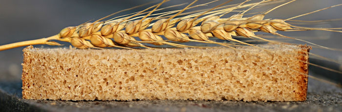 New technology to detect bread quality  