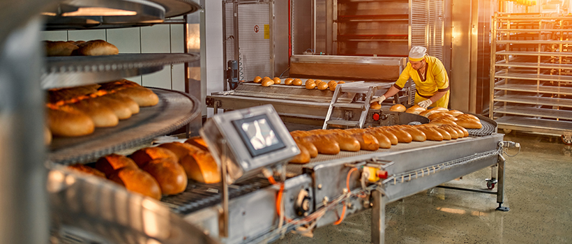 Bread loaves on production line