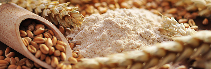 Selection of wheat, flour, and grain