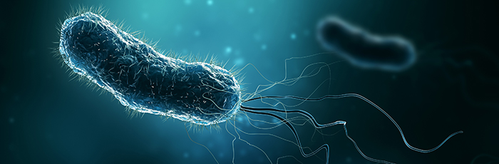 Ecoli bacteria on blue background