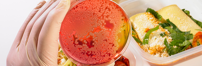 Scientist holding agar plate with growth in foreground, with ready meals in background