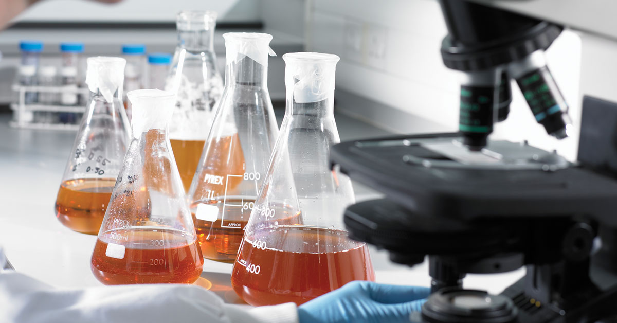 Scientist pipetting beer from beaker in laboratory