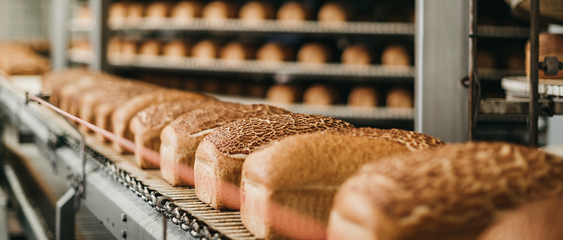 Bread loaves on a production line